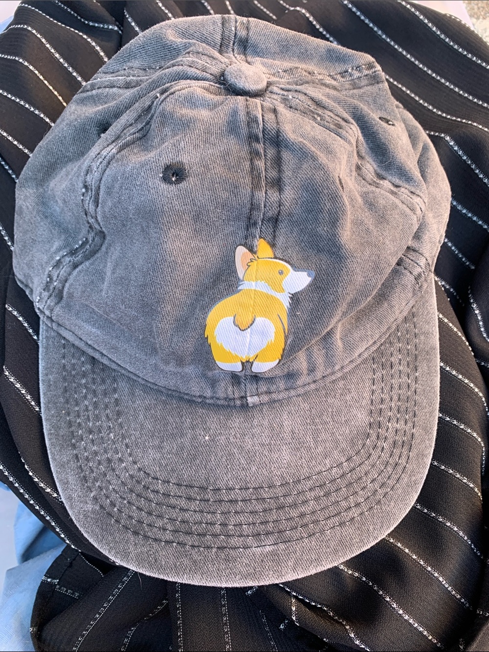 Gray Hat with Corgi